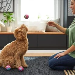 Disney Minnie Mouse Fetch Squeaky Tennis Ball Dog Toy, 3 Count -Pet Dog Toys 220803 PT2. AC SS1800 V1612366616