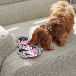 Disney Minnie Mouse Flat Plush Squeaky Dog Toy -Pet Dog Toys 220805 PT2. AC SS1800 V1612364883