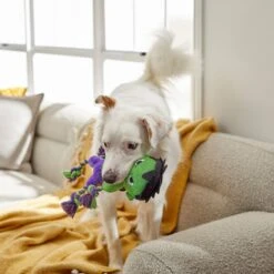 Marvel 's The Hulk Plush With Rope Squeaky Dog Toy 7 Marvel 's The Hulk Plush With Rope Squeaky Dog Toy -Pet Dog Toys 221031 PT2. AC SS1800 V1612366024