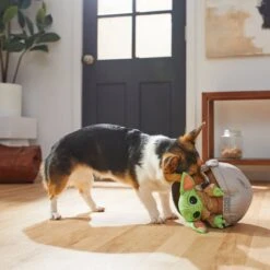 STAR WARS THE MANDALORIAN GROGU Ballistic Nylon Plush Squeaky Dog Toy 7 STAR WARS THE MANDALORIAN GROGU Ballistic Nylon Plush Squeaky Dog Toy -Pet Dog Toys 221037 PT3. AC SS1800 V1624648684