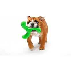 Hartz Dura Play Boomerang Bacon Scented Squeaky Latex Dog Toy, Color Varies -Pet Dog Toys 222813 PT4. AC SS1800 V1661201463