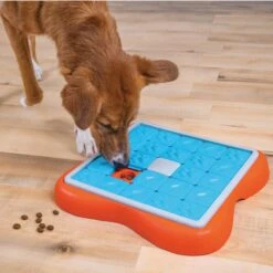 Nina Ottosson By Outward Hound Challenge Slider Dog Toy -Pet Dog Toys 226716 PT4. AC SS1800 V1694286042