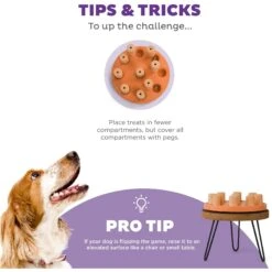 Nina Ottosson By Outward Hound Dog Smart Composite Dog Toy 13 Nina Ottosson By Outward Hound Dog Smart Composite Dog Toy -Pet Dog Toys 226720 PT3. AC SS1800 V1694439632