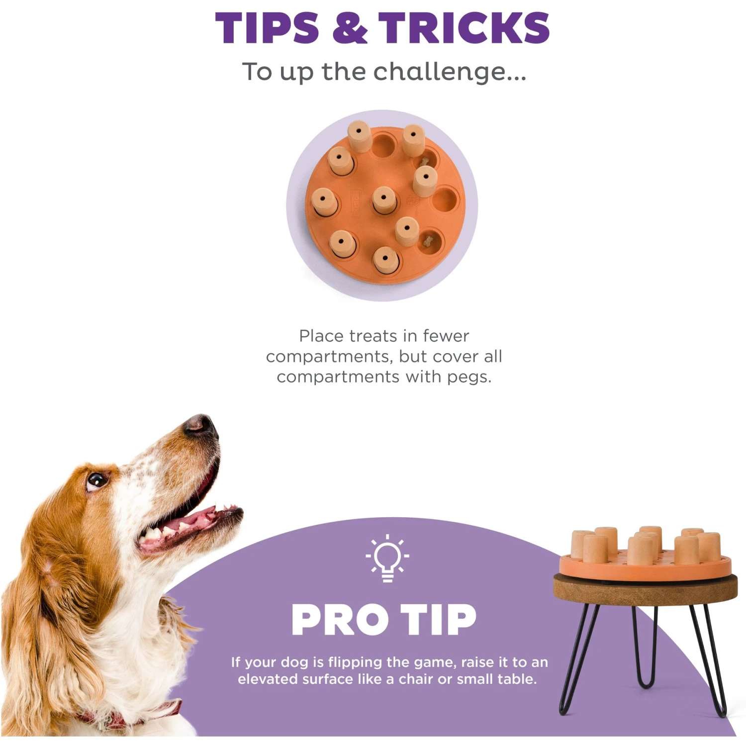 Nina Ottosson By Outward Hound Dog Smart Composite Dog Toy 6 Nina Ottosson By Outward Hound Dog Smart Composite Dog Toy - Image 4