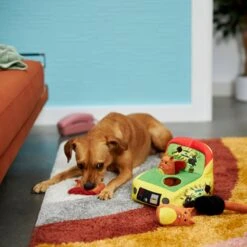 Frisco Retro Smack-a-Squirrel Hide & Seek Puzzle Plush Squeaky Dog Toy 9 Frisco Retro Smack-a-Squirrel Hide & Seek Puzzle Plush Squeaky Dog Toy -Pet Dog Toys 230313 PT3. AC SS1800 V1601947334