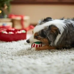 Frisco Holiday Wreath Fetch Squeaky Tennis Ball Dog Toy -Pet Dog Toys 233189 PT3. AC SS1800 V1665759769