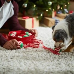 Frisco Holiday Wreath Fetch Squeaky Tennis Ball Dog Toy -Pet Dog Toys 233189 PT5. AC SS1800 V1601919657