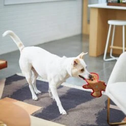 Frisco Holiday Gingerbread Man Flat Plush Squeaky Dog Toy 10 Frisco Holiday Gingerbread Man Flat Plush Squeaky Dog Toy -Pet Dog Toys 233241 PT2. AC SS1800 V1601311903