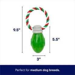 Frisco Holiday Christmas Light Rope With TPR Squeaky Dog Toy -Pet Dog Toys 233278 PT1. AC SS1800 V1695043797