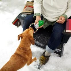 Frisco Holiday Christmas Light Rope With TPR Squeaky Dog Toy -Pet Dog Toys 233278 PT2. AC SS1800 V1601641574