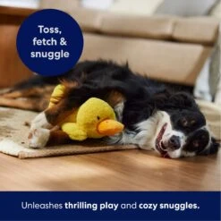 Frisco Duck Plush Squeaky Dog Toy 12 Frisco Duck Plush Squeaky Dog Toy -Pet Dog Toys 233613 PT4. AC SS1800 V1695670688