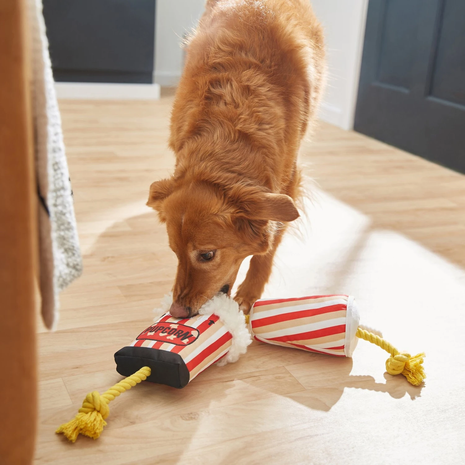 Frisco Zoomies & Chill Theatre Snacks Rope With Plush Squeaky Dog Toy 5 Frisco Zoomies & Chill Theatre Snacks Rope With Plush Squeaky Dog Toy - Image 3