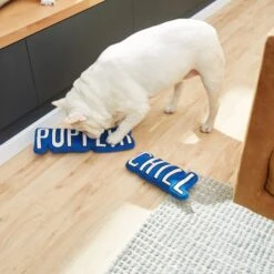 Frisco Zoomies & Chill Pupflix & Chill Plush Squeaky Dog Toy, 2 Count -Pet Dog Toys 241693 PT6. AC SS1800 V1610768429