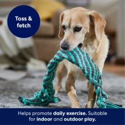 Frisco Flat Teal & Gray Braided Rope Squeaky Fetch Dog Toy -Pet Dog Toys 242127 PT3. AC SS1800 V1695242179
