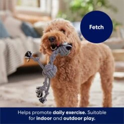 Frisco Zebra Rope Squeaky Dog Toy 10 Frisco Zebra Rope Squeaky Dog Toy -Pet Dog Toys 242163 PT3. AC SS1800 V1691785245