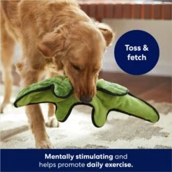 Frisco Alligator Stuffing-Free Flat Plush Squeaky Dog Toy 8 Frisco Alligator Stuffing-Free Flat Plush Squeaky Dog Toy -Pet Dog Toys 245943 PT2. AC SS1800 V1678723898
