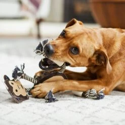 Bones & Chews Rope Monkey With Bone Dog Toy, 14" -Pet Dog Toys 247071 PT2. AC SS1800 V1603166808