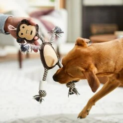 Bones & Chews Rope Monkey With Bone Dog Toy, 14" -Pet Dog Toys 247071 PT3. AC SS1800 V1603155700