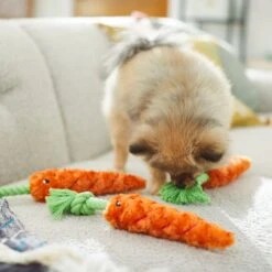 Frisco Easter Carrot Plush With Rope Dog Toy 10 Frisco Easter Carrot Plush With Rope Dog Toy -Pet Dog Toys 248023 PT5. AC SS1800 V1608769360