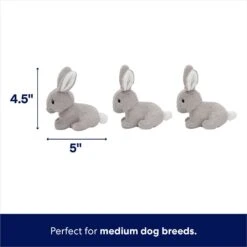 Frisco Spring Bunny Burrow Hide & Seek Plush Squeaky Dog Toy -Pet Dog Toys 248039 PT2. AC SS1800 V1700243718