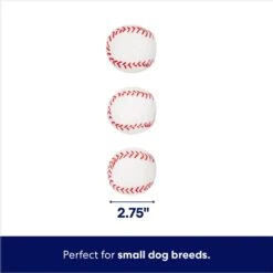 Frisco Baseball Hide & Seek Puzzle Plush Squeaky Dog Toy -Pet Dog Toys 252758 PT2. AC SS1800 V1695760988