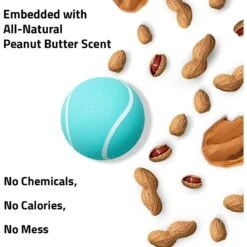 Playology Scented Squeaky Chew Ball Dog Toy 11 Playology Scented Squeaky Chew Ball Dog Toy -Pet Dog Toys 254272 PT2. AC SS1800 V1697736252