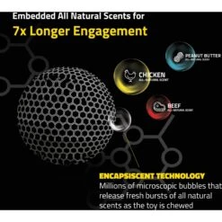 Playology Scented Squeaky Chew Ball Dog Toy 12 Playology Scented Squeaky Chew Ball Dog Toy -Pet Dog Toys 254272 PT3. AC SS1800 V1697754631