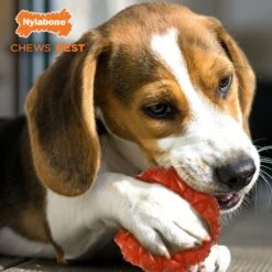 Nylabone Strong Chew Ring Braided Chew Toy For Dogs Beef -Pet Dog Toys 254717 PT2. AC SS1800 V1629847415