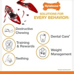 Nylabone Strong Chew Ring Braided Chew Toy For Dogs Beef -Pet Dog Toys 254717 PT5. AC SS1800 V1629851249