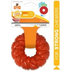Nylabone Strong Chew Ring Braided Chew Toy For Dogs Beef -Pet Dog Toys 254717 PT7. AC SS1800 V1629852719
