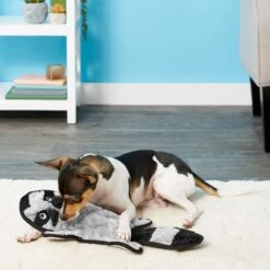 Frisco Alligator Stuffing-Free Flat Plush Squeaky Dog Toy & Frisco Raccoon Stuffing-Free Flat Plush Squeaky Dog Toy -Pet Dog Toys 255471 PT4. AC SS1800 V1602691287