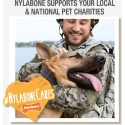 Nylabone Power Chew Tough Chew Toys For Dogs Bundle Beef & Cheese -Pet Dog Toys 256133 PT7. AC SS1800 V1688390858