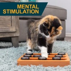 OurPets Sushi Treat Dispensing Puzzle Dog & Cat Toy -Pet Dog Toys 258947 PT2. AC SS1800 V1605883630