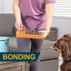 OurPets Sushi Treat Dispensing Puzzle Dog & Cat Toy -Pet Dog Toys 258947 PT7. AC SS1800 V1605917811