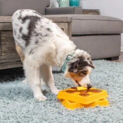 OurPets Waffle Squeaky Treat Dispensing Puzzle Dog & Cat Toy -Pet Dog Toys 258949 PT1. AC SS1800 V1605883341