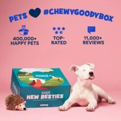 Goody Box Puppy Toys, Treats & Potty Training 17 Goody Box Puppy Toys, Treats & Potty Training -Pet Dog Toys 258997 PT7. AC SS1800 V1690832449