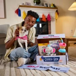 Goody Box Birthday Dog Toys & Treats, X-Small/Small -Pet Dog Toys 258999 PT2. AC SS1800 V1676045587