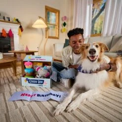 Goody Box Birthday Dog Toys & Treats -Pet Dog Toys 259001 PT2. AC SS1800 V1689886669