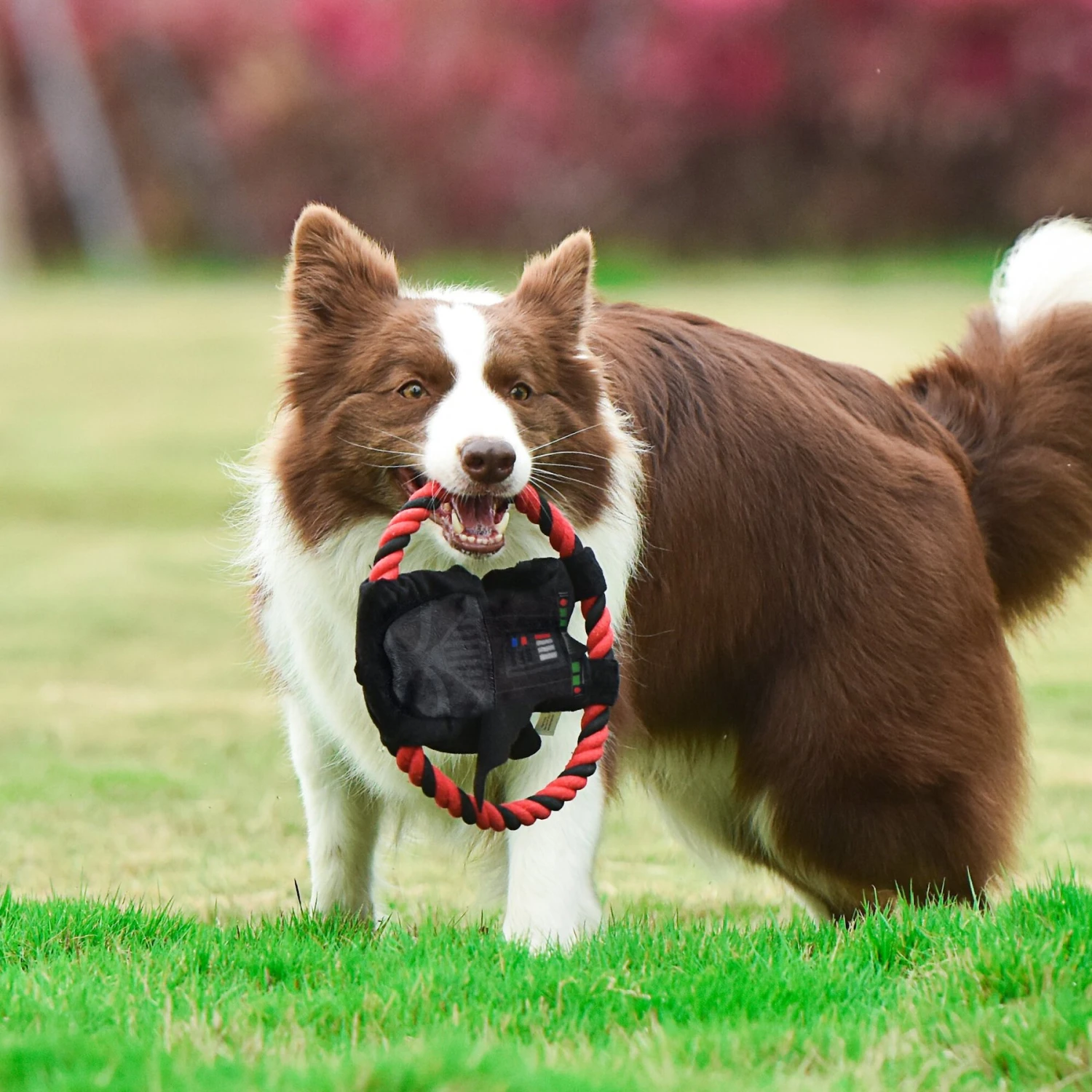 Fetch For Pets Star Wars Darth Vader Plush Rope Frisbee Dog Toy 7 Fetch For Pets Star Wars Darth Vader Plush Rope Frisbee Dog Toy - Image 5