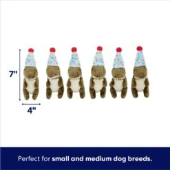 Frisco Birthday Volcano & Dinosaurs Hide & Seek Puzzle Plush Squeaky Dog Toy 11 Frisco Birthday Volcano & Dinosaurs Hide & Seek Puzzle Plush Squeaky Dog Toy -Pet Dog Toys 264424 PT2. AC SS1800 V1695761147