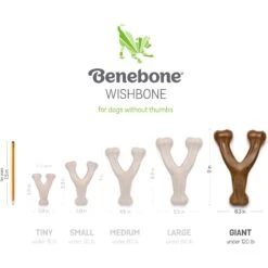 Benebone Wishbone Peanut Butter Flavor Chew Dog Toy -Pet Dog Toys 265102 PT4. AC SS1800 V1612405948