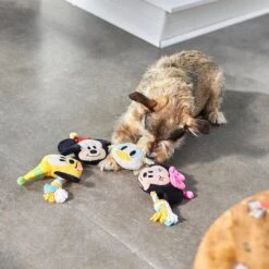 Disney Mickey Mouse & Friends Birthday Plush With Rope Squeaky Dog Toy 7 Disney Mickey Mouse & Friends Birthday Plush With Rope Squeaky Dog Toy -Pet Dog Toys 265560 PT3. AC SS1800 V1625069558