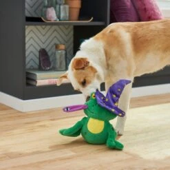 Frisco Magic Wizard Frog Plush Squeaky Dog Toy -Pet Dog Toys 265588 PT3. AC SS1800 V1620939075