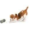 PetSafe Kibble Chase Roaming Treat Dropper Dog Toy 1 PetSafe Kibble Chase Roaming Treat Dropper Dog Toy -Pet Dog Toys 266209 MAIN. AC SS1800 V1648624954