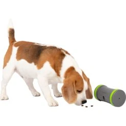 PetSafe Kibble Chase Roaming Treat Dropper Dog Toy 17 PetSafe Kibble Chase Roaming Treat Dropper Dog Toy -Pet Dog Toys 266209 PT6. AC SS1800 V1648601197