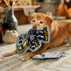 STAR WARS Halloween R2-D2 & C-3PO Stuffing-Free Flat Plush Squeaky Dog Toy 8 STAR WARS Halloween R2-D2 & C-3PO Stuffing-Free Flat Plush Squeaky Dog Toy -Pet Dog Toys 267880 PT3. AC SS1800 V1689878912