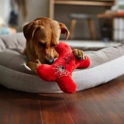 Frisco Halloween Wicked Cute Bone Reversible Plush Squeaky Dog Toy -Pet Dog Toys 270357 PT3. AC SS1800 V1624817551