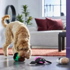 Frisco Halloween Cupcakes Plush Squeaky Dog Toy 9 Frisco Halloween Cupcakes Plush Squeaky Dog Toy -Pet Dog Toys 270367 PT3. AC SS1800 V1624817674