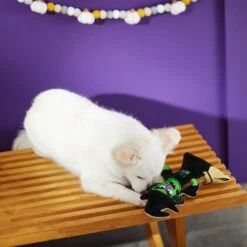 Frisco Halloween Good Witch, Bad Witch Reversible Plush Squeaky Dog Toy 11 Frisco Halloween Good Witch, Bad Witch Reversible Plush Squeaky Dog Toy -Pet Dog Toys 270429 PT3. AC SS1800 V1624817643