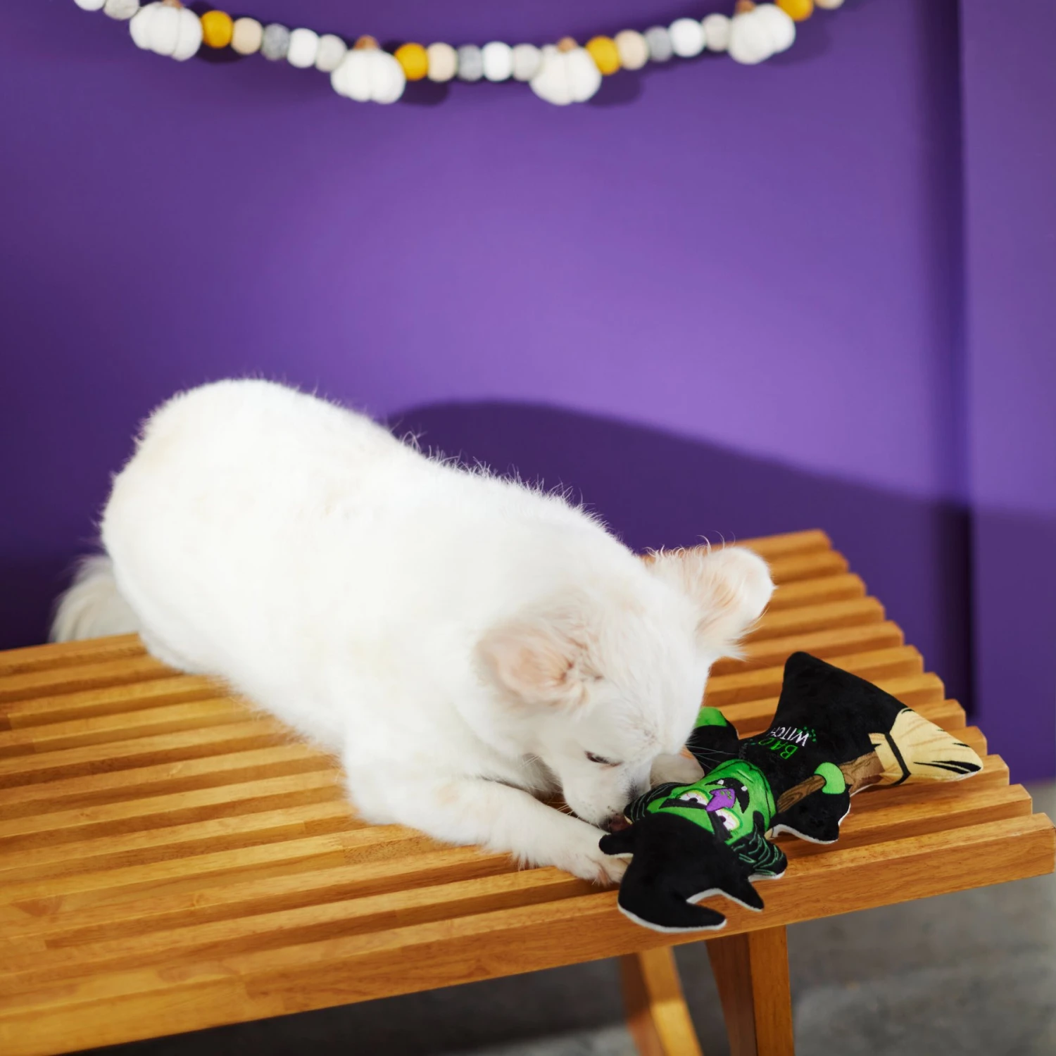 Frisco Halloween Good Witch, Bad Witch Reversible Plush Squeaky Dog Toy 6 Frisco Halloween Good Witch, Bad Witch Reversible Plush Squeaky Dog Toy - Image 4